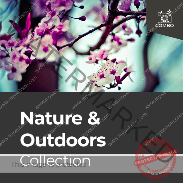 Combo-2-Nature-and-Outdoors.png