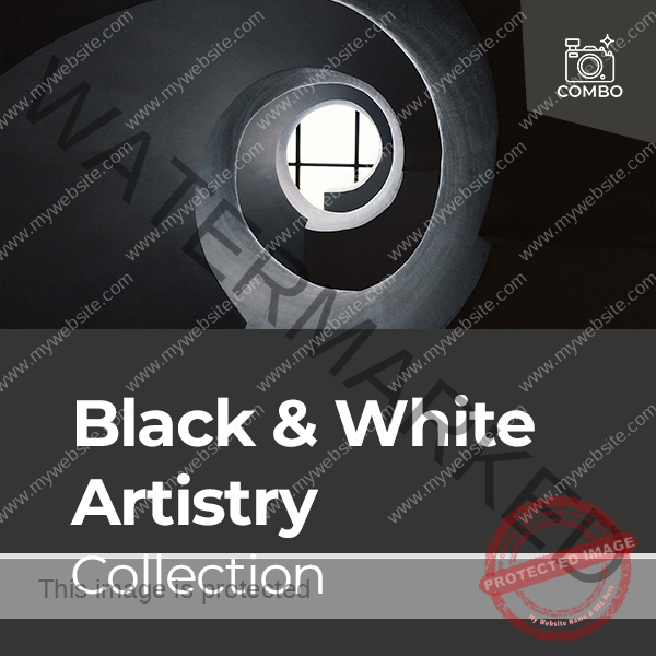 Combo-5-Black-and-White-Artistry.png