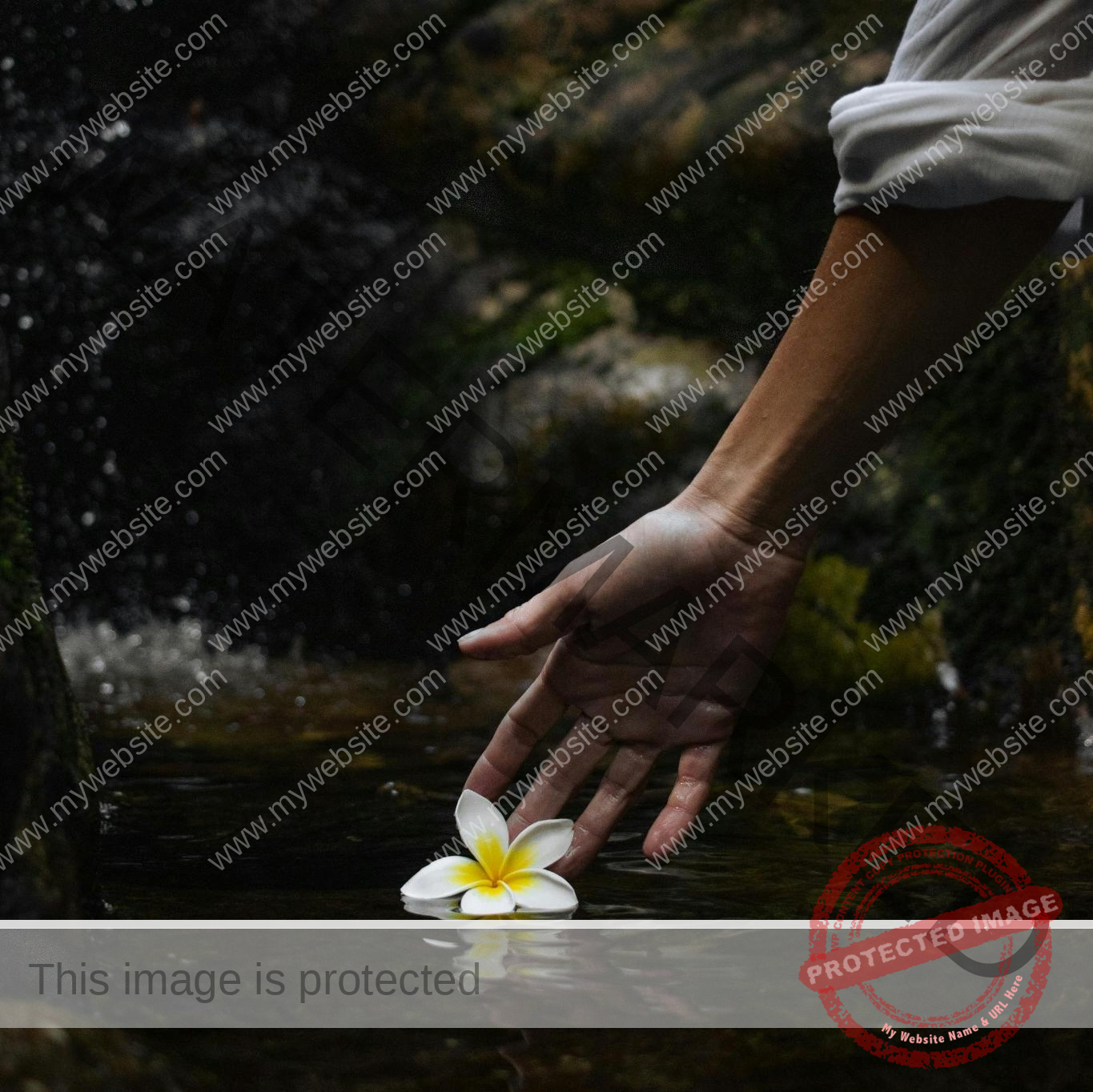 photo_art_9